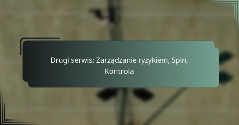 Drugi serwis: Zarządzanie ryzykiem, Spin, Kontrola